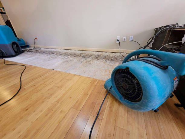 Professional Structural Drying technician working in Osage Beach, MO